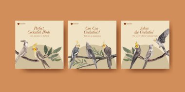 Papağan kuş konsepti, suluboya stil içeren pankart şablonu