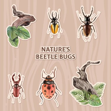 Böcek böcek konsepti, suluboya stili çıkartma şablonu