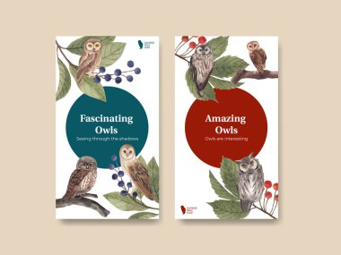 Baykuş konseptli Instagram şablonu, suluboya stil