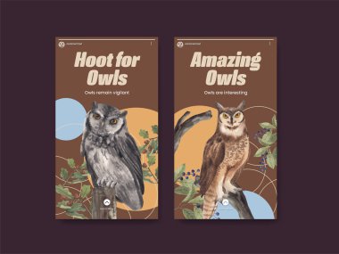 Baykuş konseptli Instagram şablonu, suluboya stil