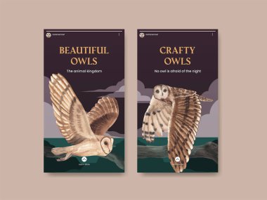 Baykuş konseptli Instagram şablonu, suluboya stil
