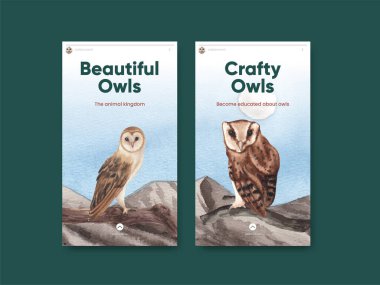 Baykuş konseptli Instagram şablonu, suluboya stil