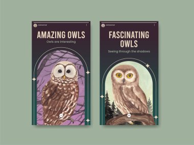 Baykuş konseptli Instagram şablonu, suluboya stil