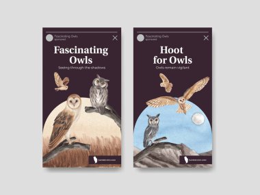 Baykuş konseptli Instagram şablonu, suluboya stil