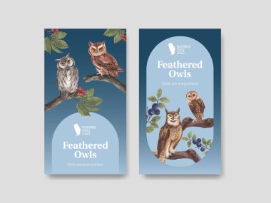 Baykuş konseptli Instagram şablonu, suluboya stil