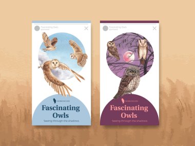 Baykuş konseptli Instagram şablonu, suluboya stil