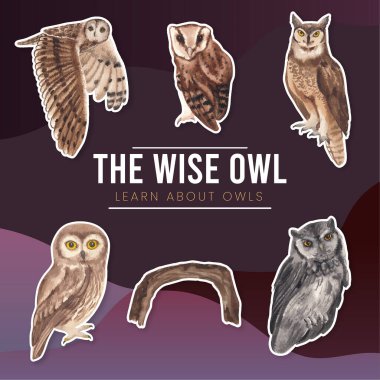 Baykuş konseptli çıkartma şablonu, suluboya stil