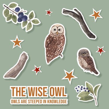 Baykuş konseptli çıkartma şablonu, suluboya stil