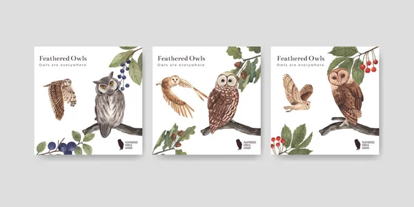 Banner Template Owl Bird Concept Watercolor Styl — Stock vektor