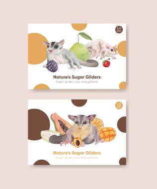 Facebook template with adorble sugar gliders concept,watercolor style