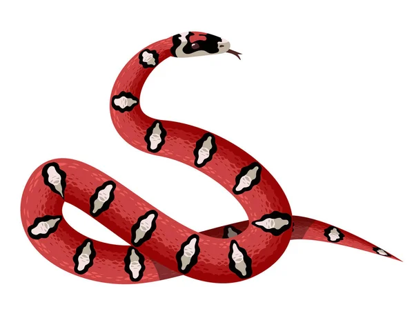 毒蛇红斑马爬行动物蛇 — 图库矢量图片