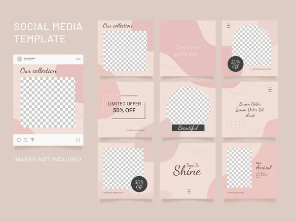 Template Social Media Post Liquid Element Fashion Feed Bundle