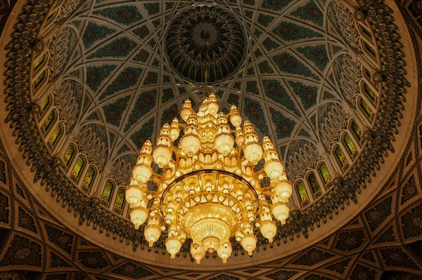 Vacker Ljuskrona Muscat Moskén Högkvalitativt Foto — Stockfoto
