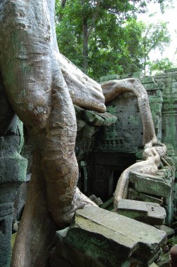 Angkor ne Kamboçya Eski Tapınağı 