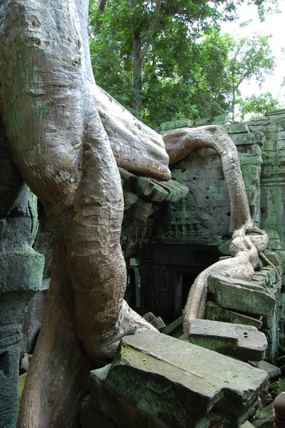 Angkor wat cambodia old temple — 스톡 사진