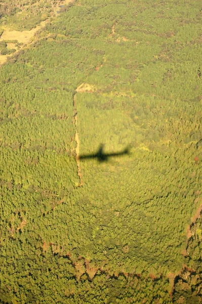 La sombra del avión en el suelo al aterrizar sobre la selva —  Fotos de Stock