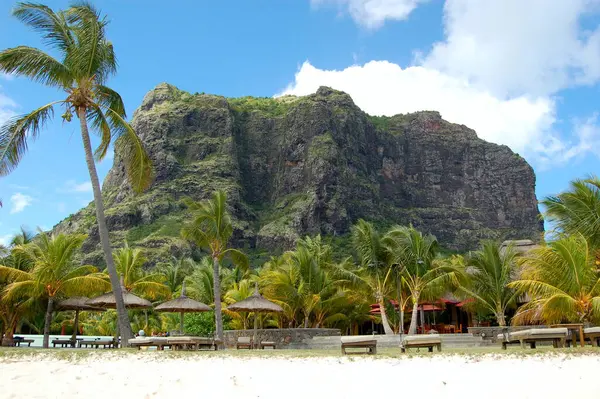 Mauritius 'taki Hint Okyanusu' nun sahilinde şemsiyenin altında güneşleniyor.