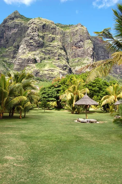 Mauritius 'taki Hint Okyanusu' nun sahilinde şemsiyenin altında güneşleniyor.