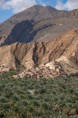 Umman köyü, palmiye ağacı vahasının yanında. Yüksek kalite fotoğraf