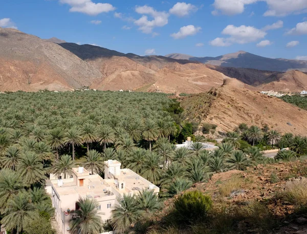 Umman köyü, palmiye ağacı vahasının yanında. Yüksek kalite fotoğraf