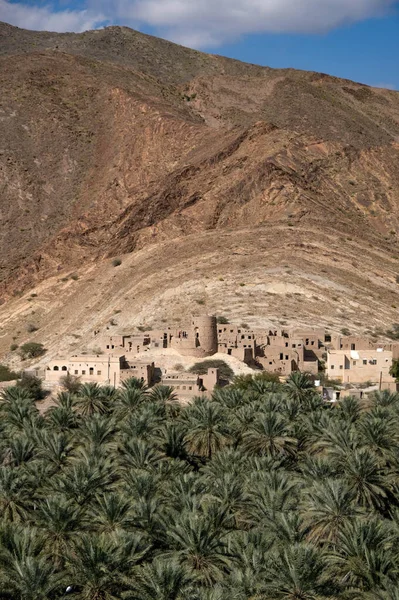 Village Oman Palm Tree Oasis High Quality Photo — Stockfoto