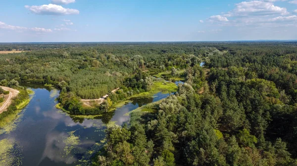 River Flowing Field Shooting Drone Ukraine High Quality Photo — стоковое фото