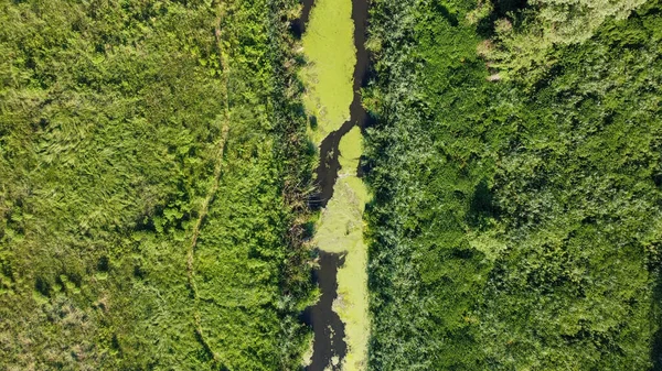 River Flowing Field Shooting Drone Ukraine High Quality Photo —  Fotos de Stock