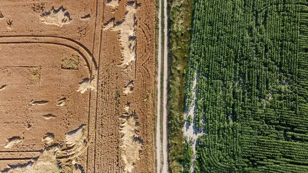 Fields Harvest Ukraine Filming Drone High Quality Photo —  Fotos de Stock