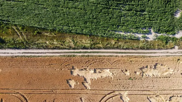 Fields Harvest Ukraine Filming Drone High Quality Photo —  Fotos de Stock