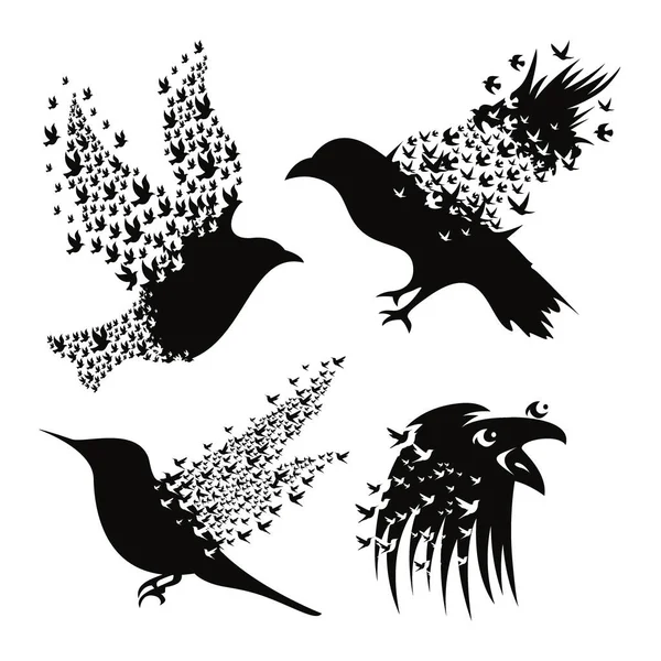 silhouettes black silhouette of a birds on a white background. vector illustration.