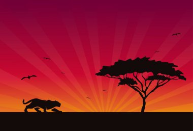 Afrika safarisinin güzel bir manzarası, siluet bir jaguar, leopar, gün batımında çita. vektör illüstrasyonu