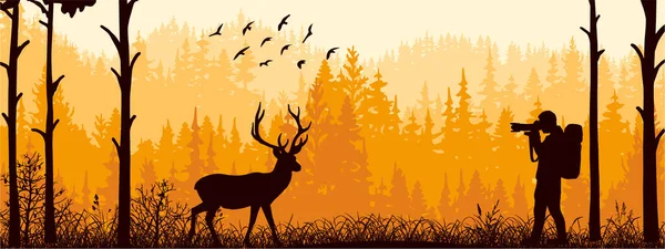 Photographer Meadow Forest Take Picture Deer Silhouette Tree Man Animal — Vetor de Stock