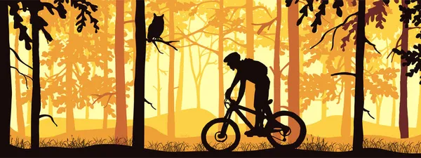 Horizontale Fahne Silhouette Eines Mountainbike Fahrers Auf Einer Wiese Wald — Stockvektor