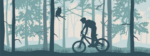 Horizontale Fahne Silhouette Von Mountainbike Fahrer Magischen Nebligen Wald Wilde — Stockvektor