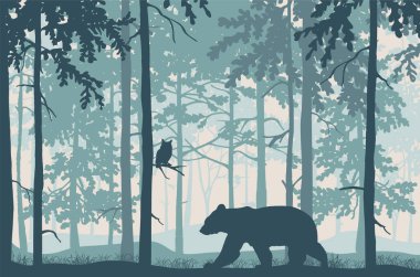 Forest landscape. Bear in magic misty forest. Owl on branch. Silhouettes of trees and animals. Blue background, illustration.	
