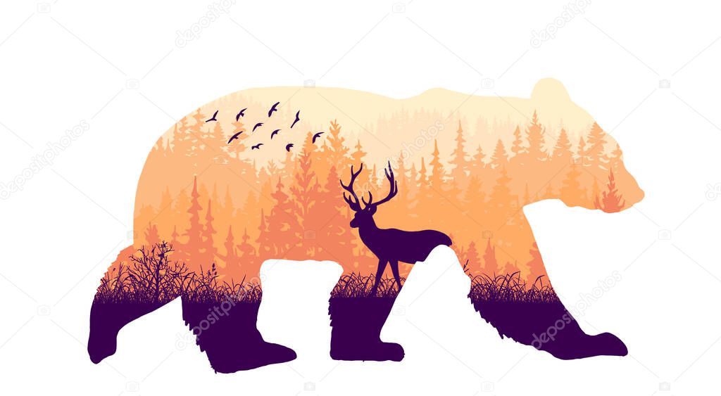 Magic misty forest in silhouette of bear. Trees, deer on meadow in grass, birds. Pink and orange wild landscape illustration. Animal isolated on white background.
