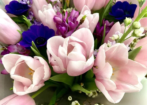 Beautiful Spring Bouquet Tulips — Stock Photo, Image