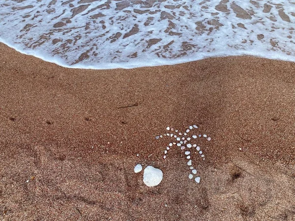 Palm Tree Sand Made Rocks Copy Space Text Perfect Vacation — Stock Photo, Image