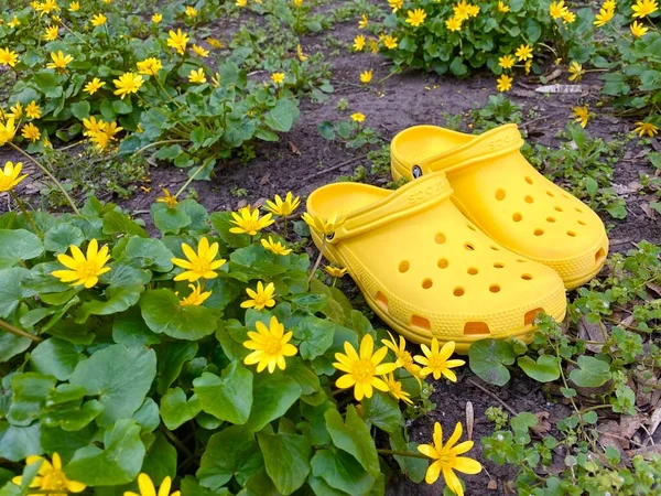 Karet Crocs Kuning Terang Musim Panas Trendi Sepatu Bekas Dan — Stok Foto