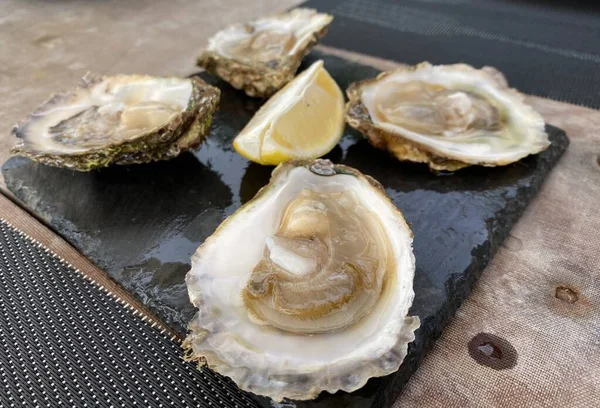 Delicious Seafood Dish Oysters Lemon Mollusk Tasty Unusual Shell — Stockfoto