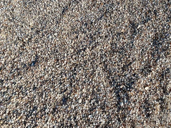 Texture Sea Sand — Stock Photo, Image