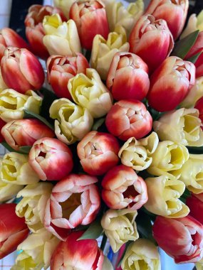colorful background with various flowers, selective focus