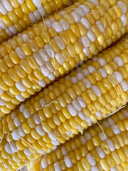 Close View Fresh Corn Macro Shot Texture Corn — Stockfoto