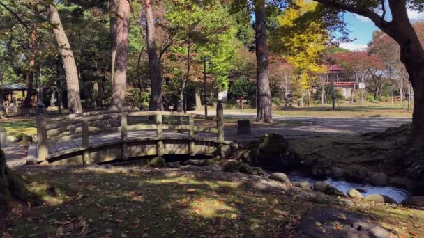 Uitzicht Een Prachtige Japanse Stijl Houten Brug Senshu Park Akita — Stockvideo