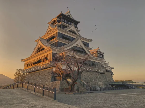 Красивый Вид Типичный Японский Замок — стоковое фото