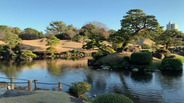 Προβολή Ενός Όμορφου Ιαπωνικού Κήπου Από Την Ακτή Μιας Μικρής — Αρχείο Βίντεο