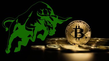 Bitcoin BTC boğa pazarı geliyor. Bull Market Wall Street Finansal Konsepti