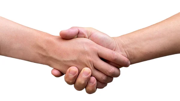 Two Men Shaking Hands White Background Royalty Free Stock Images