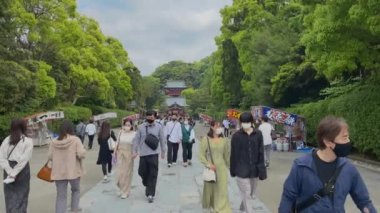 Birçok insan ünlü Kamakura kentindeki Tsurugaoka Hachiman Tapınağı 'nı resmi tatilde ziyaret eder. 2022 Mayıs 11, Yokohama, Japonya