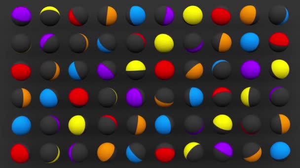 Esferas Colores Brillantes Girando Fondo Gris Animación Abstracta Render — Vídeos de Stock